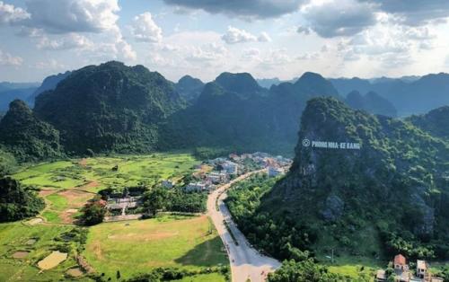 Phong Nha-Kẻ Bàng Park plans to become central region biodiversity conservation center