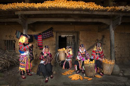 A tapestry of human flowers