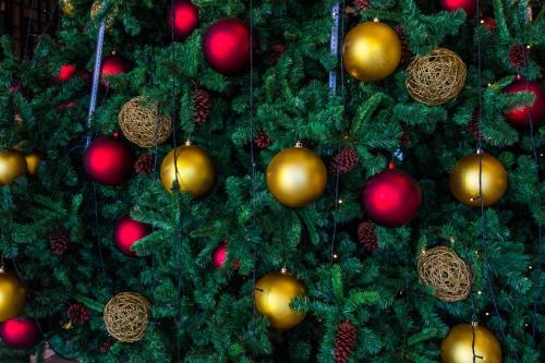 Christmas & New Year activities in Vietnam