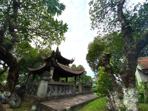 Co Loa Special National Relic recognized as tourist destination