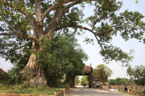 Duong Lam ancient village