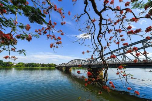 Most globally fascinating destinations of Viet Nam