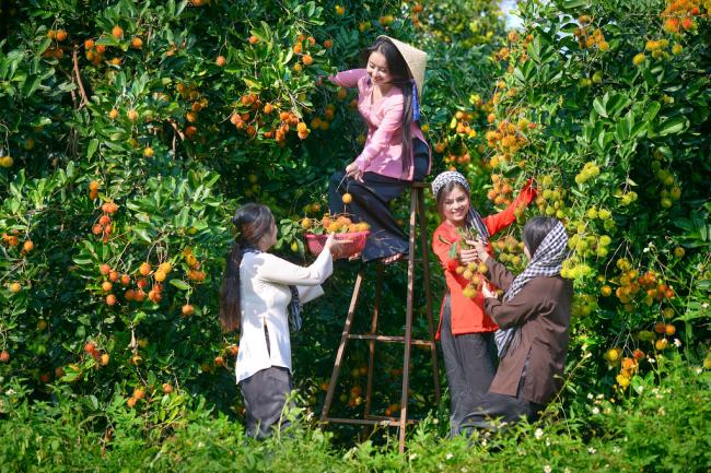 5d4n Ho Chi Minh- Vung Tau- My Tho- Garden Fruit 